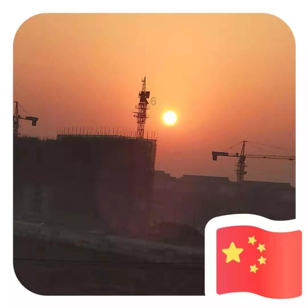 JulyDeer纳豆激酶红曲胶囊:心脑血管的守护者